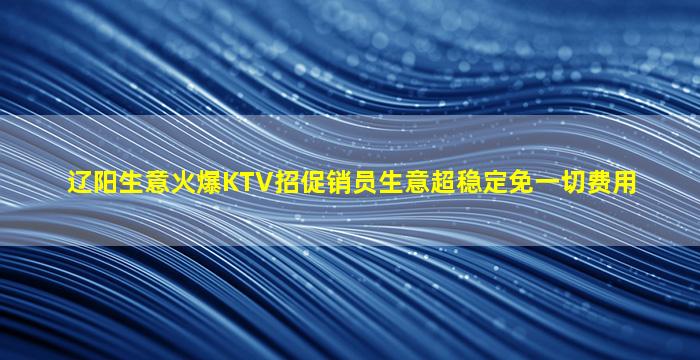 辽阳生意火爆KTV招促销员生意超稳定免一切费用